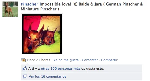 La pareja más famosa del Facebook