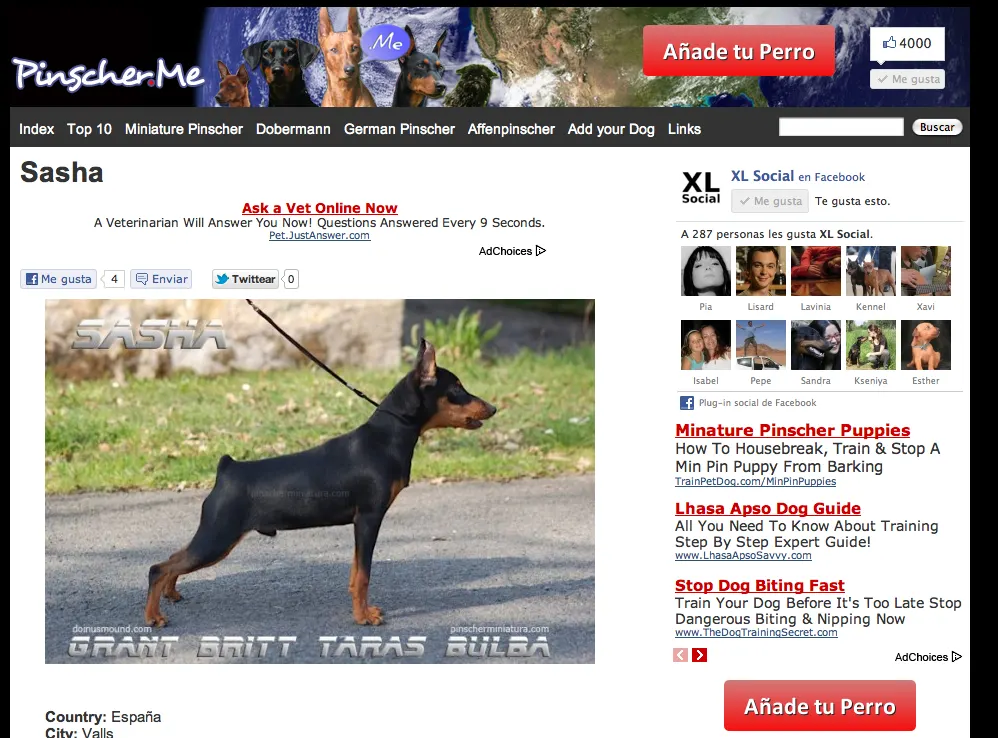 Vuelve Pinscher Me!