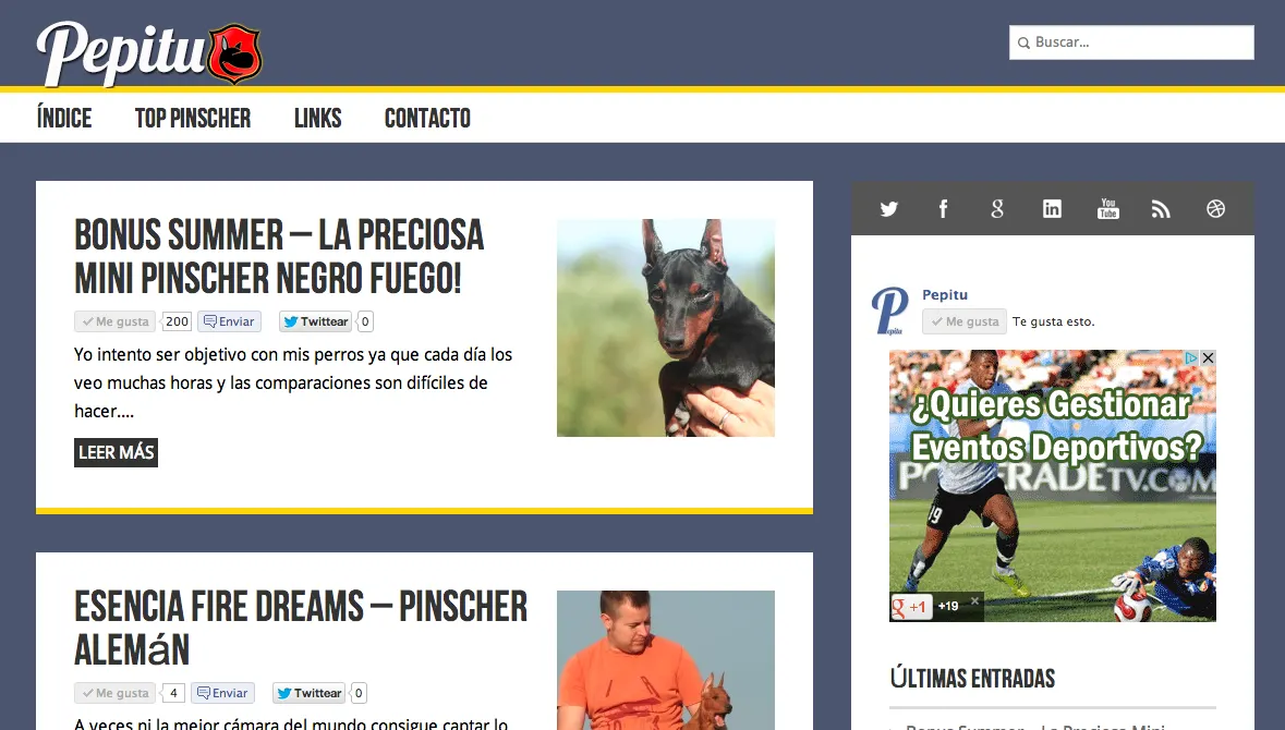Nuevo tema para el Blog!