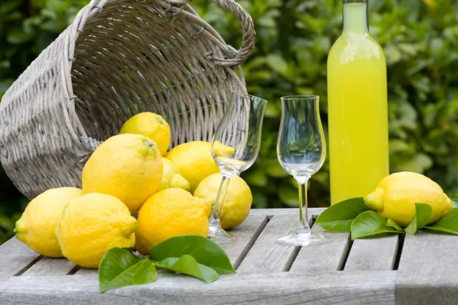 Aprendiendo a elaborar limoncello – limonchelo