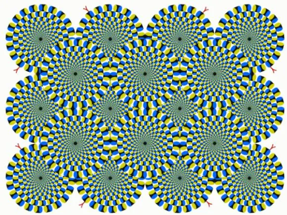 1254165259_02
