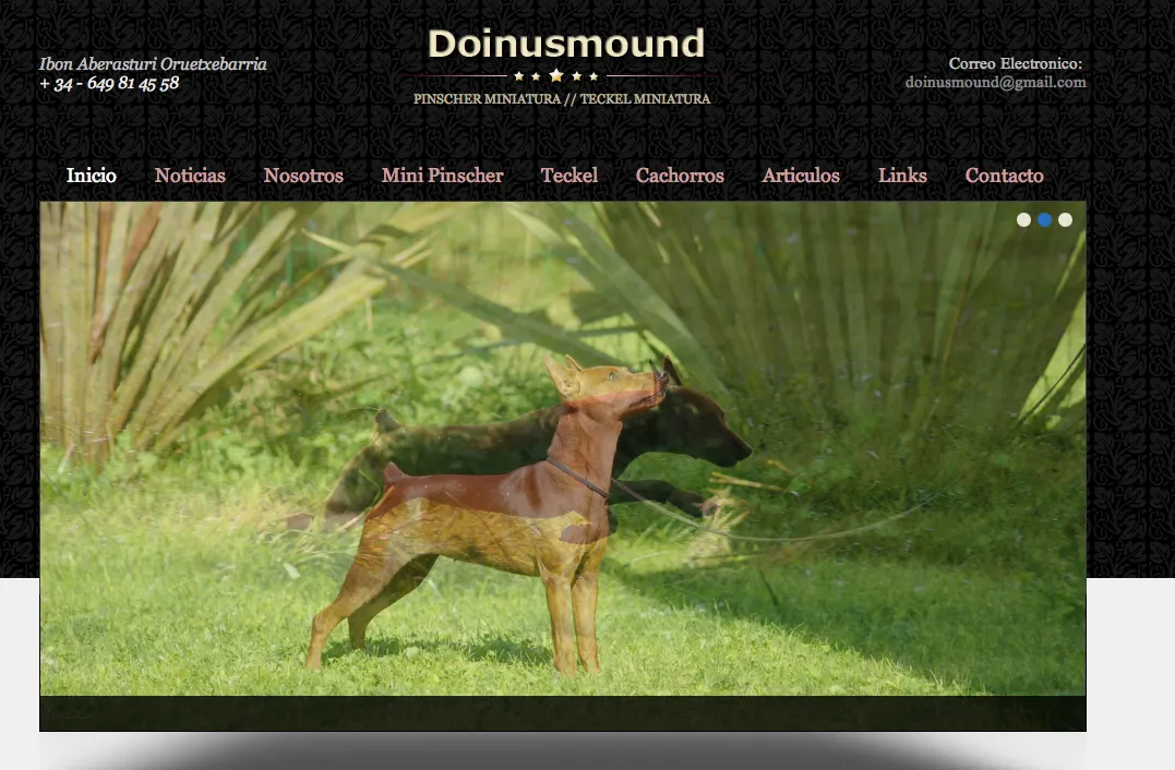 La nueva web de Doinusmound