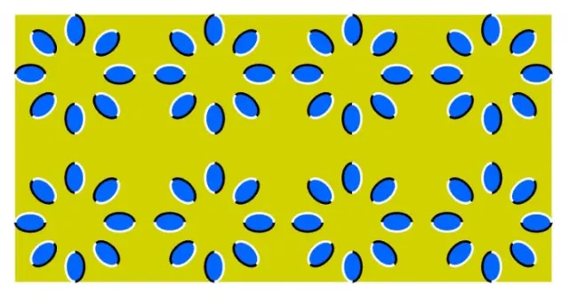 356839776_62f7e690ce_o