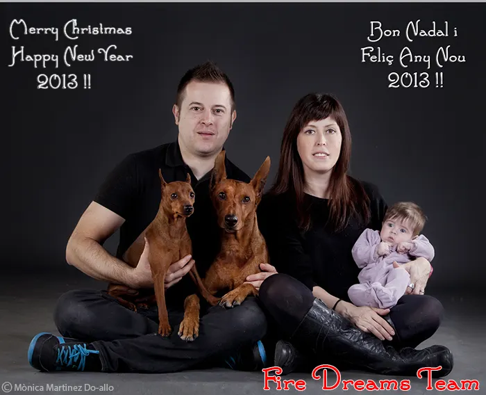 Feliz Navidad y Feliz Año 2013!!