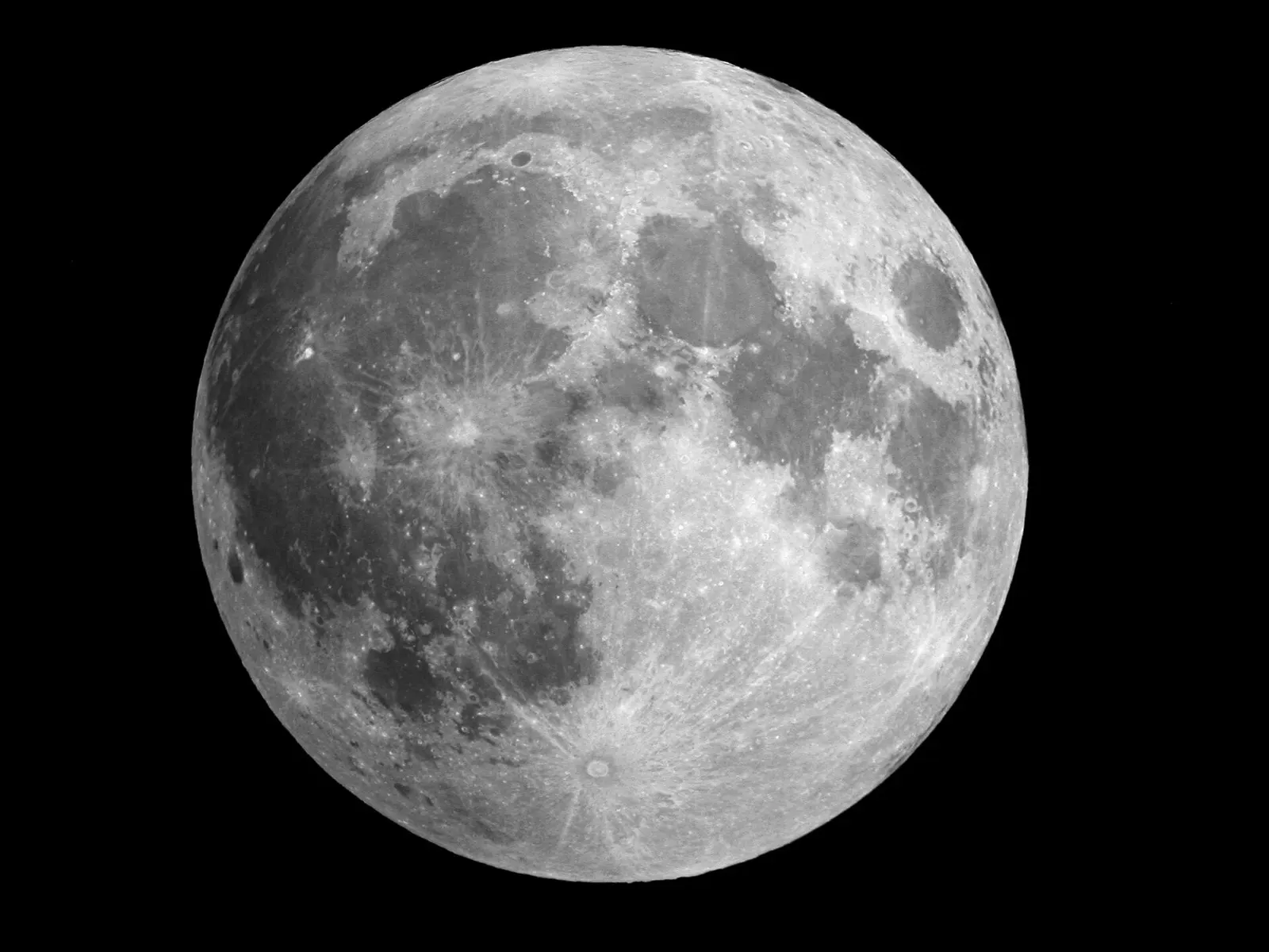 La Luna Llena y como afecta a los perros