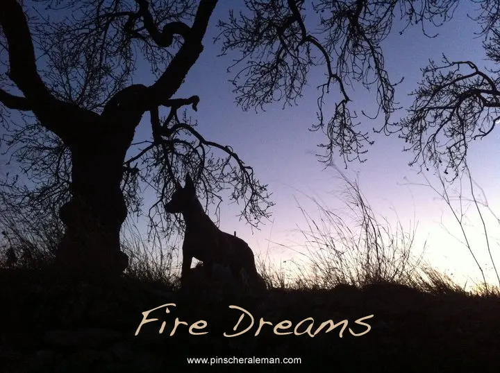 Fire Dreams Reloaded 10/02/2011 – 22:00hrs