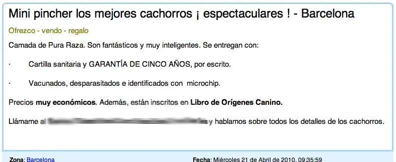 Cachorros de mini Pinscher OjO con los timos.