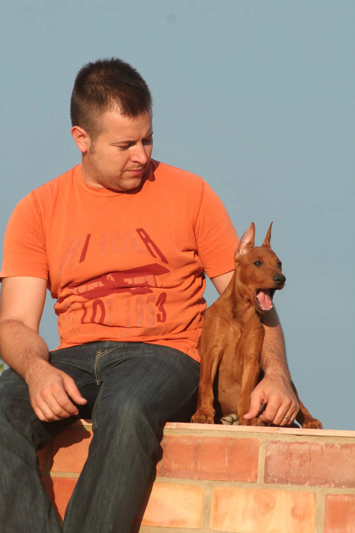 Calendario Exposiciones Caninas 2015 rsce