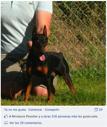 Sasha y sus 10 meses! Sashamania!!