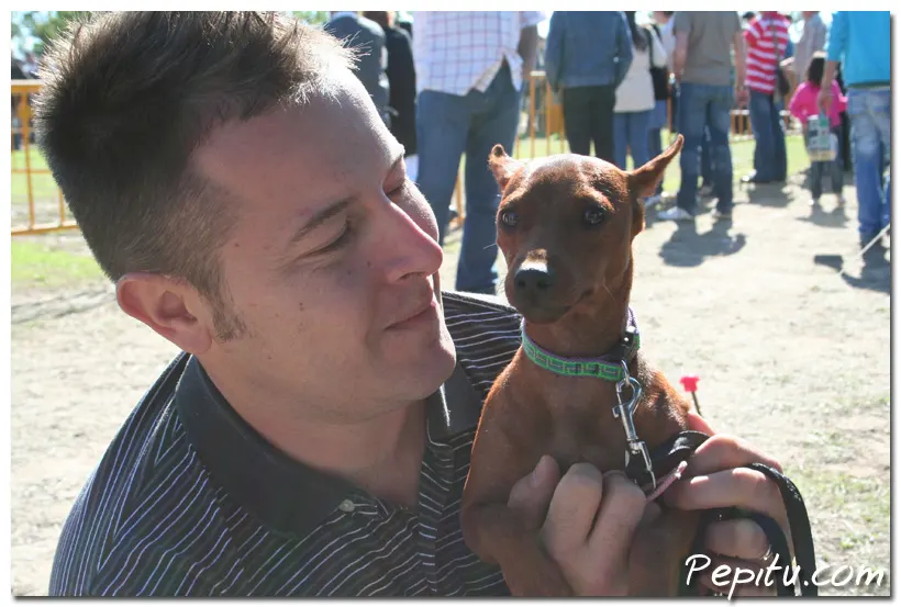 Concurso Canino Tarrega 2010