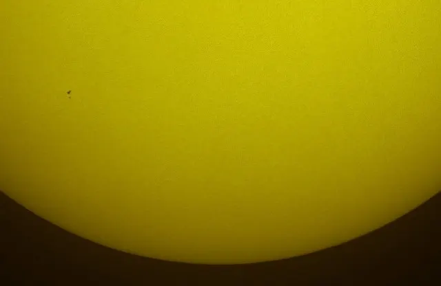 s19_19009813