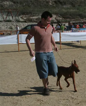Domingo de concurso canino en Igualada.