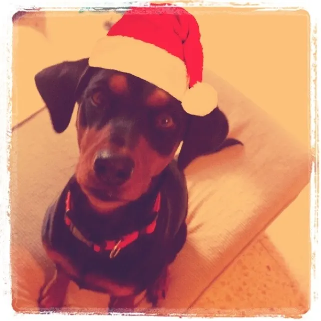 Pepa’s Claus